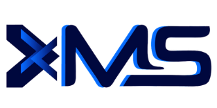 Max Suport Logo